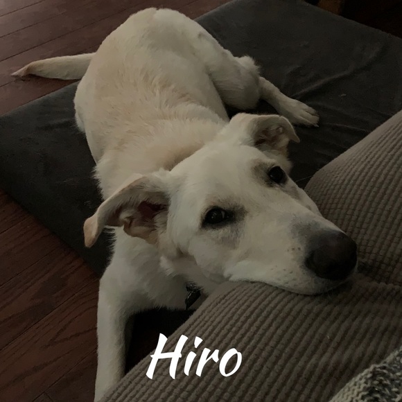 Like Here to Bookmark my Shop (: - Picture 6 of 9